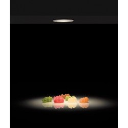 Downlight Incastrat Circular Dot ACB, LED, Alb, Modern, E3949000B, Spania