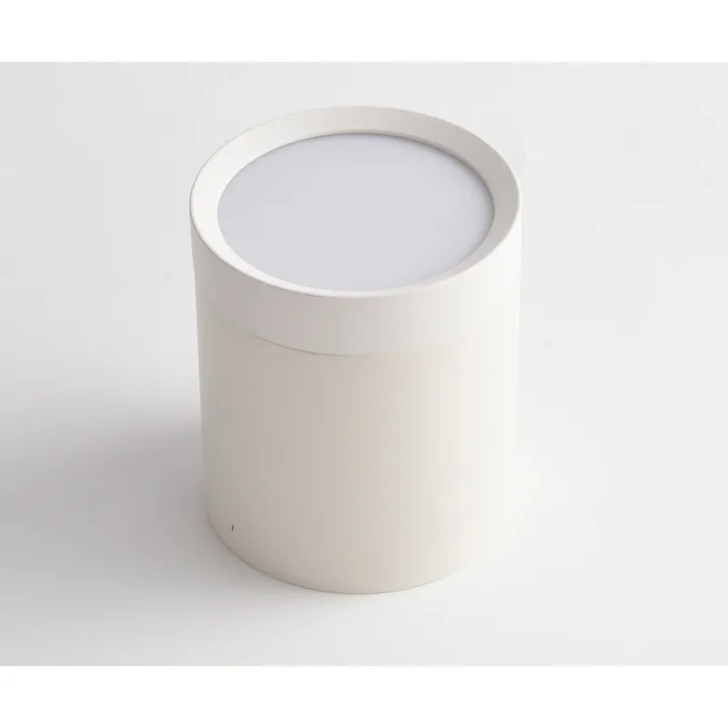 Downlight Aplicat Circular Hoop Maytoni GX53, Alb, C086CM-GX53-MRD-W, Germania