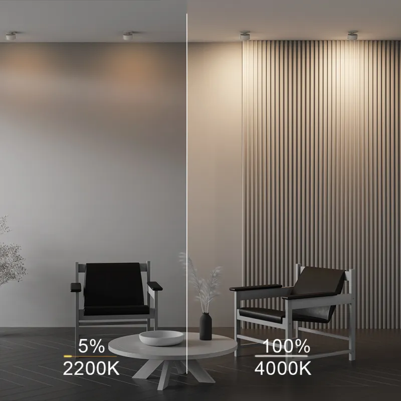 Downlight Încastrat DL024-12W-DTW-W Onda Maytoni Germania, Modern, Led, Alb