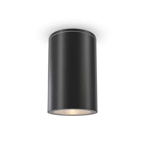 Plafoniera Exterior Roll Maytoni GU10, Negru, O307CL-01B, Germania