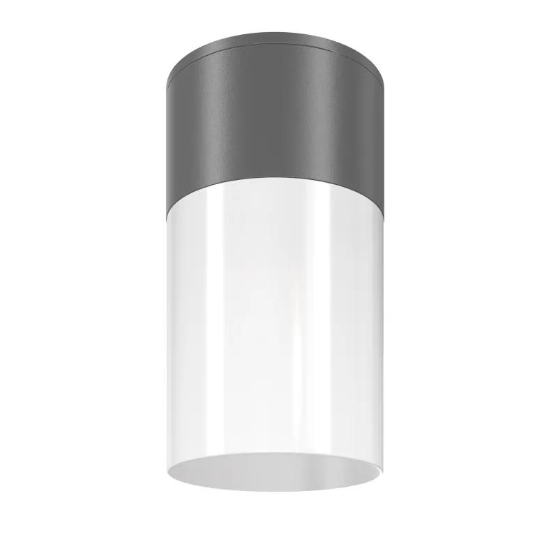 Plafoniera Exterior Willis Maytoni E27, Grafit, O418CL-01GR, Germania