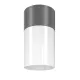 Plafoniera Exterior Willis Maytoni E27, Grafit, O418CL-01GR, Germania