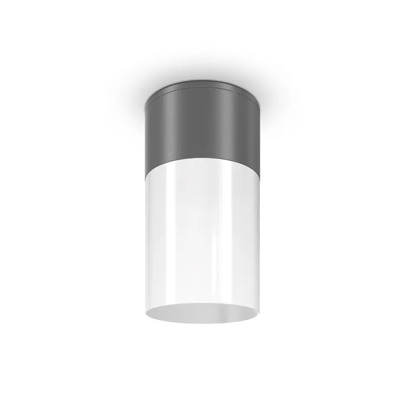 Plafoniera Exterior Willis Maytoni E27, Grafit, O418CL-01GR, Germania