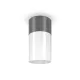 Plafoniera Exterior Willis Maytoni E27, Grafit, O418CL-01GR, Germania