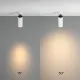 Downlight Aplicat Focus Zoom C055CL-L12W3K-Z-W Maytoni LED, Alb, Germania