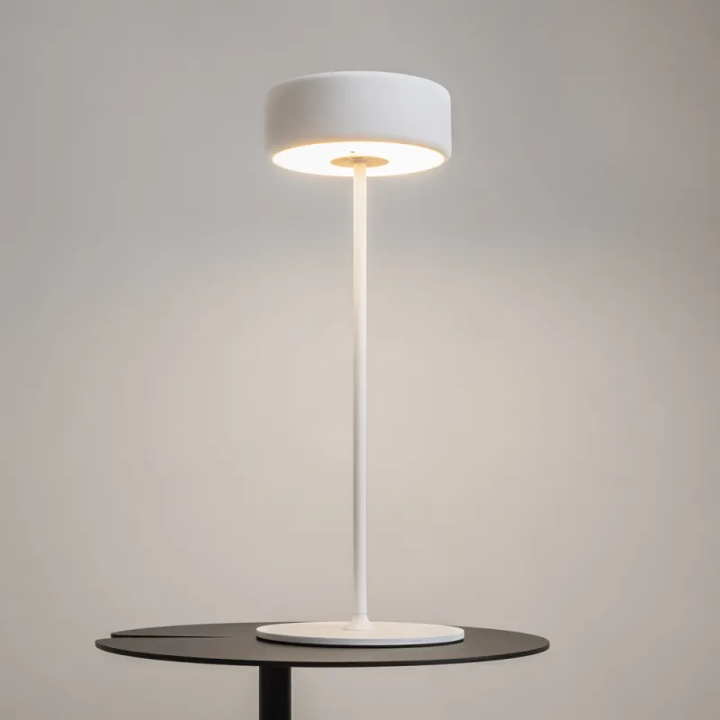 Veioza Exterior cu Baterii AI Collaboration MOD229TL-L3W3K2 Maytoni LED, Alb, Germania