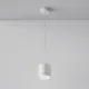 Pendul Polar P088PL-GX53-W Maytoni GX53, Alb, Germania
