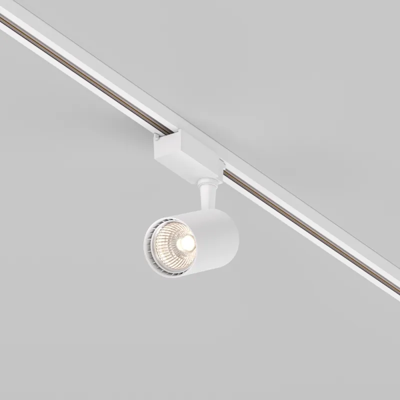 Downlight Sina 1 Faza Vuoro TR003-1-10W3K-S-W Maytoni LED, Alb, Germania