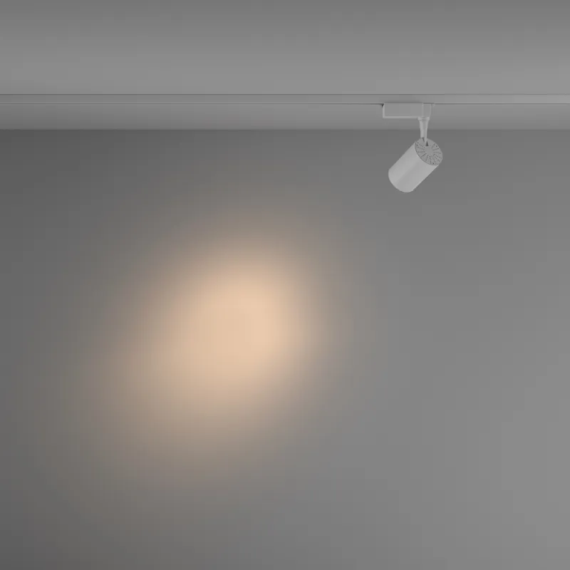 Downlight Sina 1 Faza Vuoro TR003-1-10W3K-S-W Maytoni LED, Alb, Germania