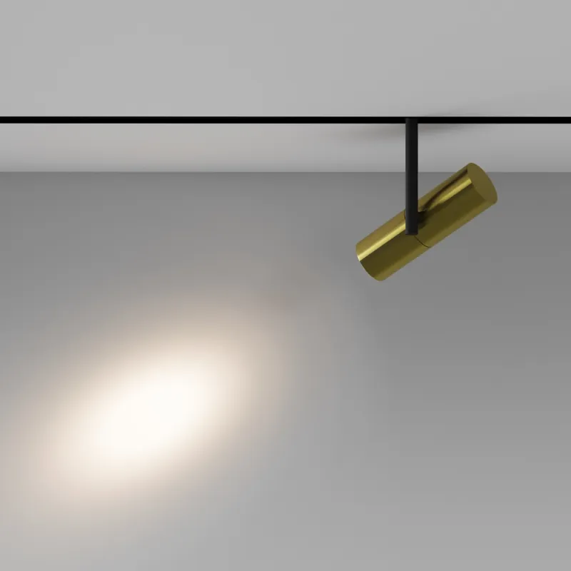 Downlight Sina Magnetica Elti TR005-2-12W3K-BBS Maytoni LED, Negru, Germania