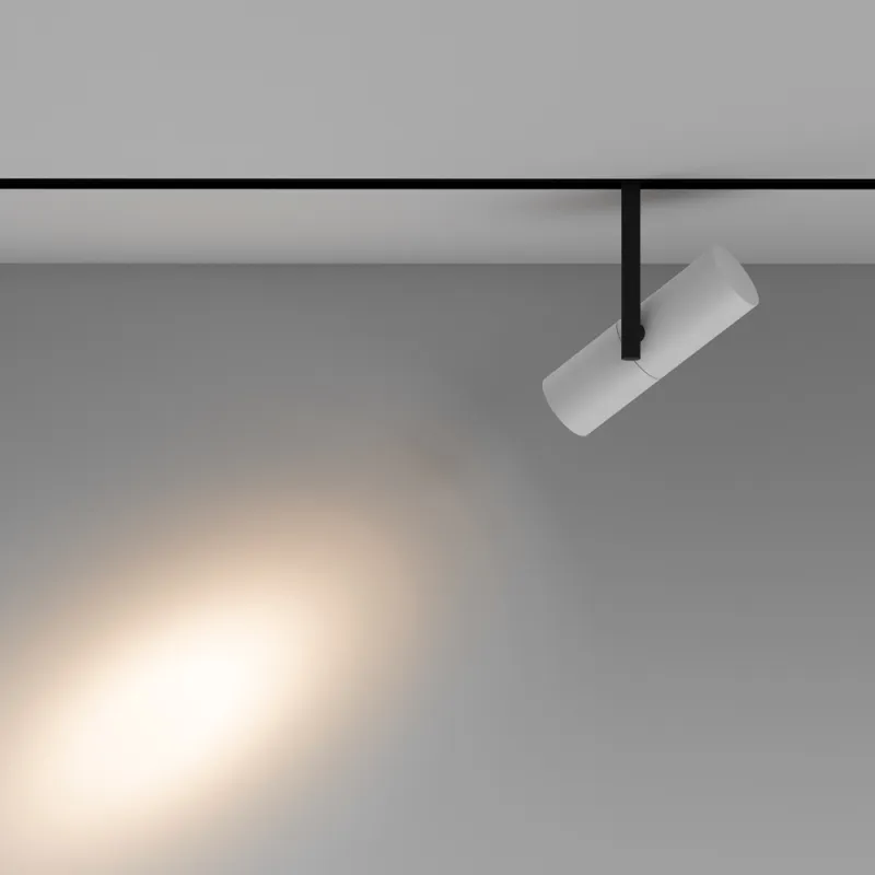 Downlight Sina Magnetica Elti TR005-2-12W3K-BW Maytoni LED, Alb, Germania