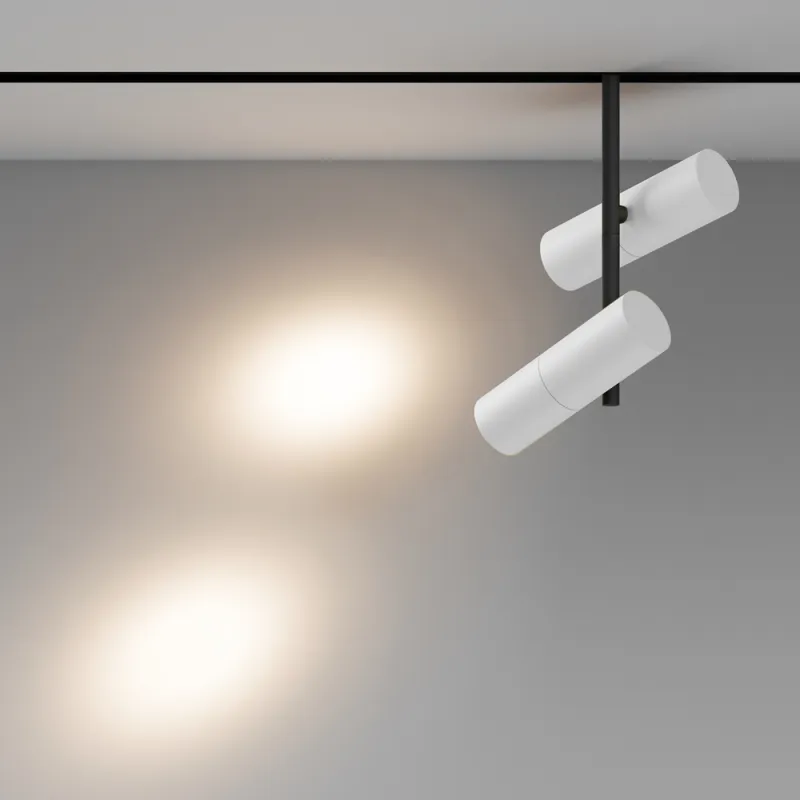 Downlight Sina Magnetica Elti Duo TR005-2-2X12W3K-BW Maytoni LED, Alb, Germania