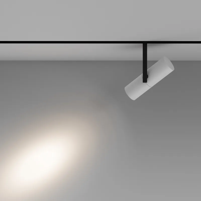Downlight Sina Magnetica Elti TR005-4-12W-DS-BW Maytoni LED, Alb, Germania