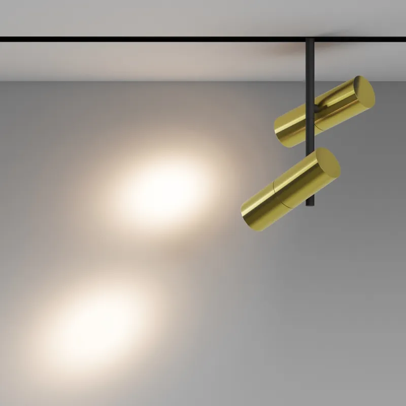 Downlight Sina Magnetica Elti Duo TR005-4-2X12W-DS-BBS Maytoni LED, Negru, Germania