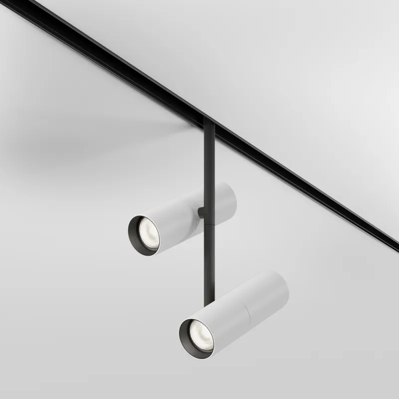 Downlight Sina Magnetica Elti Duo TR005-4-2X12W-DS-BW Maytoni LED, Alb, Germania