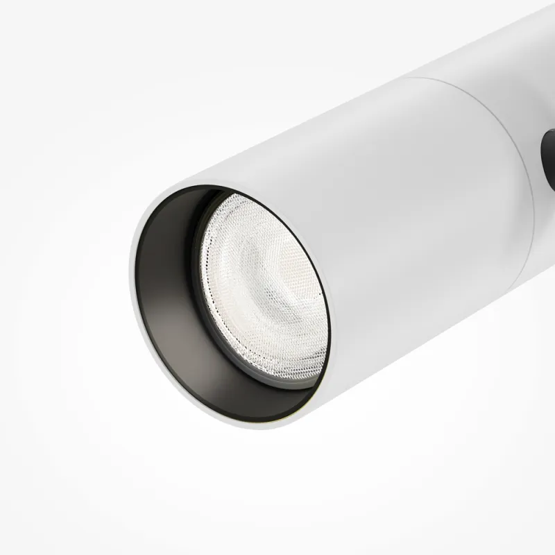 Downlight Sina Magnetica Elti Duo TR005-4-2X12W-DS-BW Maytoni LED, Alb, Germania
