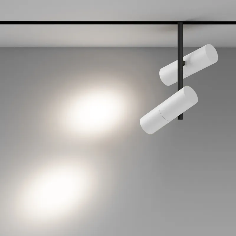 Downlight Sina Magnetica Elti Duo TR005-4-2X12W-DS-BW Maytoni LED, Alb, Germania