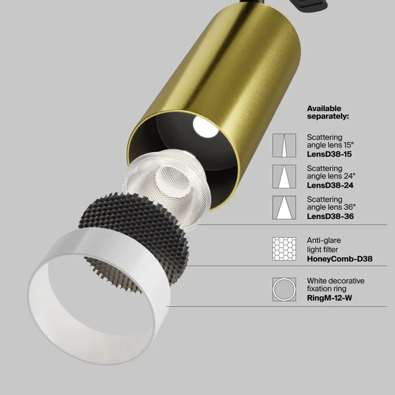 Downlight Sina 1 Faza Focus LED TR021-1-12W3K-W-BBS Maytoni LED, Alama, Germania