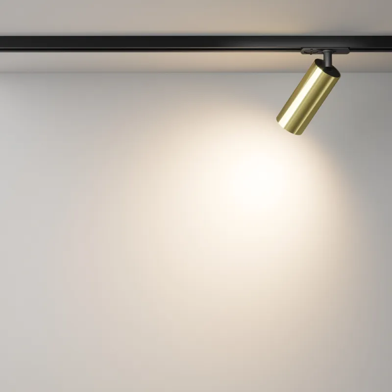 Downlight Sina 1 Faza Focus LED TR021-1-12W3K-W-BBS Maytoni LED, Alama, Germania