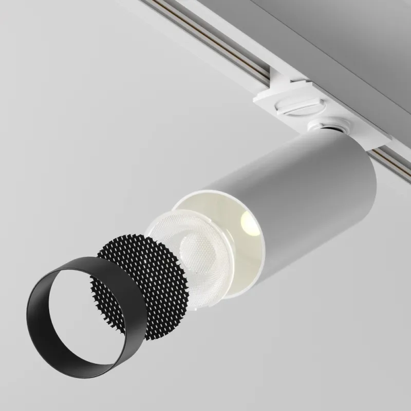 Downlight Sina 1 Faza Focus LED TR021-1-12W3K-W-D-W Maytoni LED, Alb, Germania