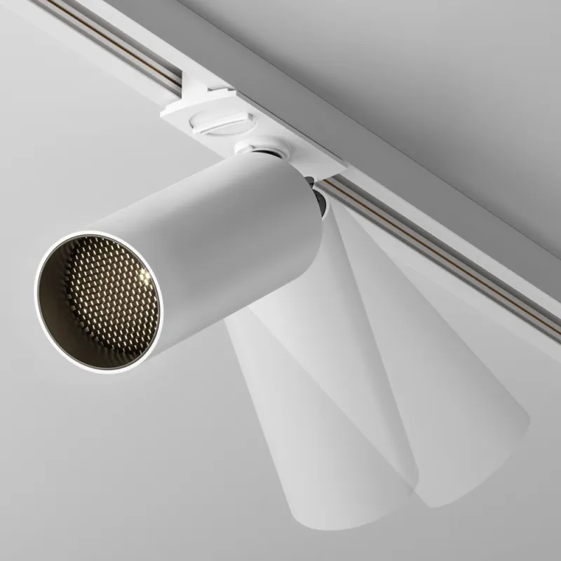 Downlight Sina 1 Faza Focus LED TR021-1-12W3K-W-D-W Maytoni LED, Alb, Germania
