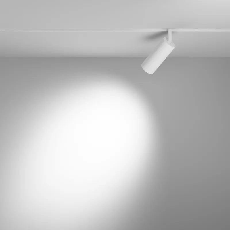 Downlight Sina Magnetica Focus LED TR032-2-12W4K-S-W Maytoni LED, Alb, Germania