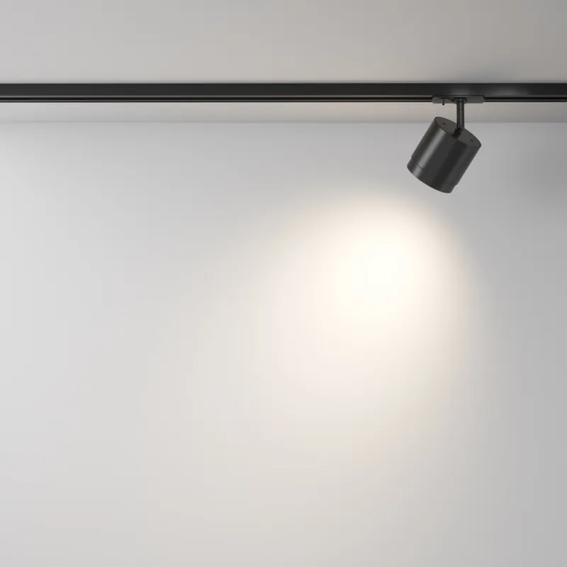 Downlight Sina 1 Faza Polar TR088-1-GX53-B Maytoni GX53, Negru, Germania