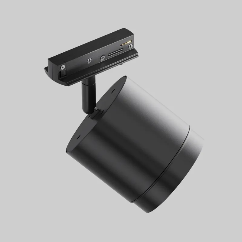 Downlight Sina 1 Faza Polar TR088-1-GX53-B Maytoni GX53, Negru, Germania