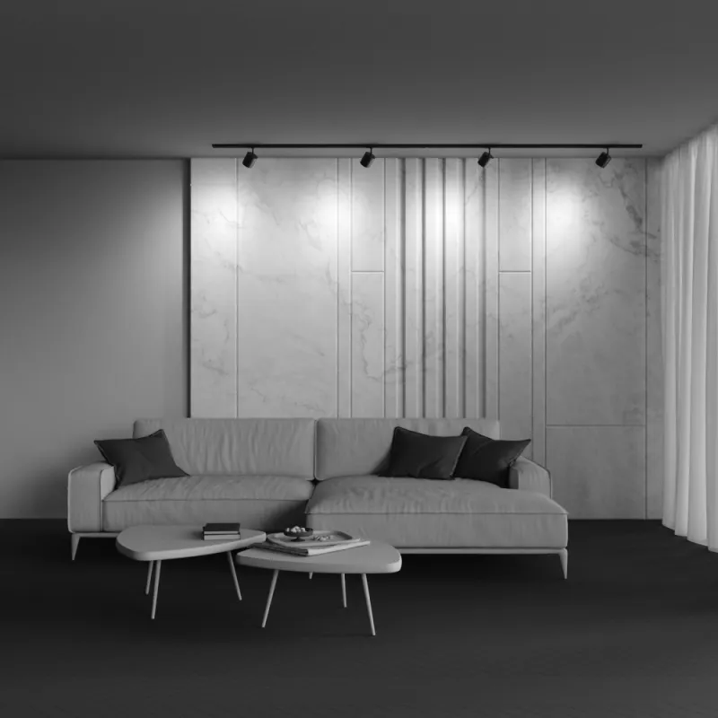 Downlight Sina 1 Faza Polar TR088-1-GX53-B Maytoni GX53, Negru, Germania