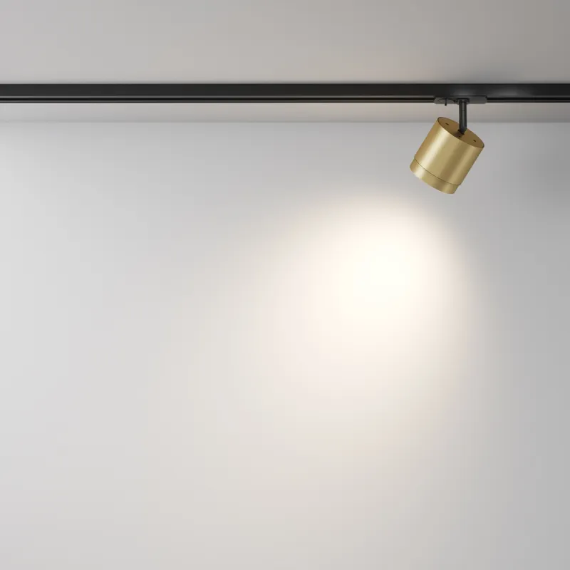 Downlight Sina 1 Faza Polar TR088-1-GX53-MG Maytoni GX53, Auriu, Germania