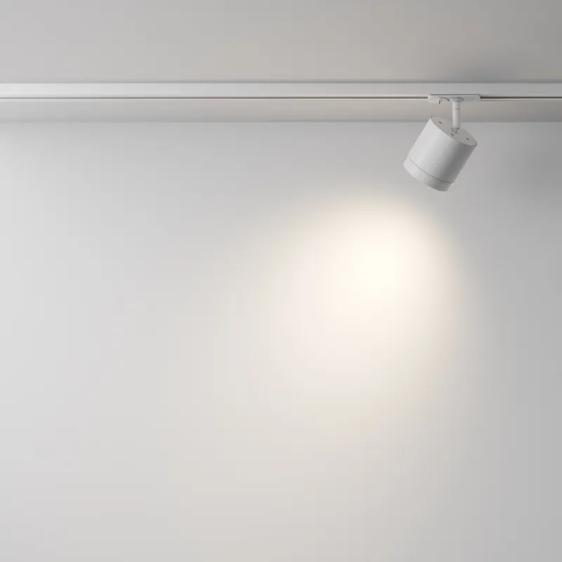 Downlight Sina 1 Faza Polar TR088-1-GX53-W Maytoni GX53, Alb, Germania