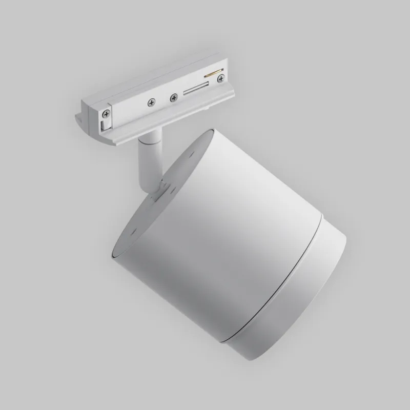 Downlight Sina 1 Faza Polar TR088-1-GX53-W Maytoni GX53, Alb, Germania