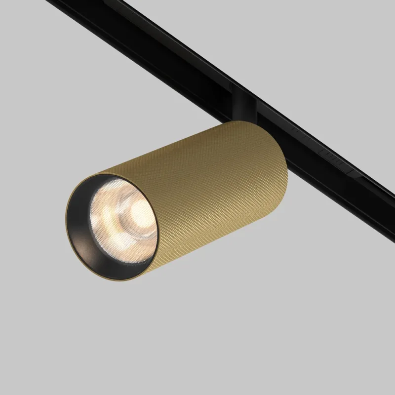Downlight Sina Magnetica Artisan TR097-2-12W3K-M-BMG Maytoni LED, Auriu, Germania