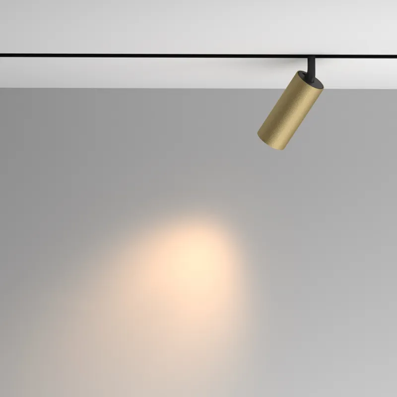Downlight Sina Magnetica Artisan TR097-2-12W3K-M-BMG Maytoni LED, Auriu, Germania