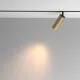Downlight Sina Magnetica Artisan TR097-2-12W3K-M-BMG Maytoni LED, Auriu, Germania
