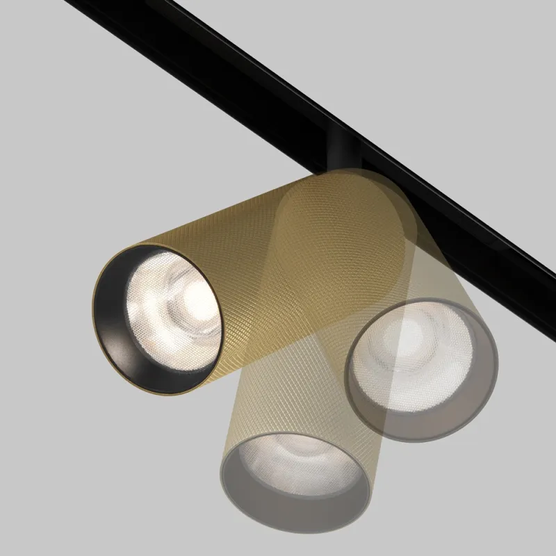 Downlight Sina Magnetica Artisan TR097-2-12W4K-M-BMG Maytoni LED, Auriu, Germania