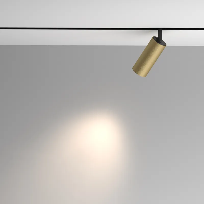 Downlight Sina Magnetica Artisan TR097-2-12W4K-M-BMG Maytoni LED, Auriu, Germania
