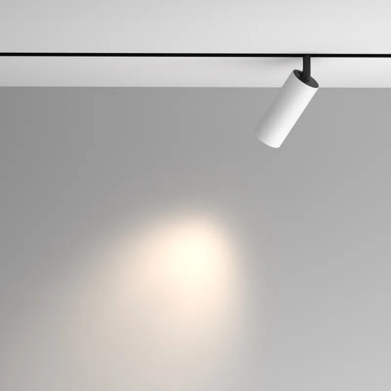 Downlight Sina Magnetica Artisan TR097-2-12W4K-M-BW Maytoni LED, Alb, Germania