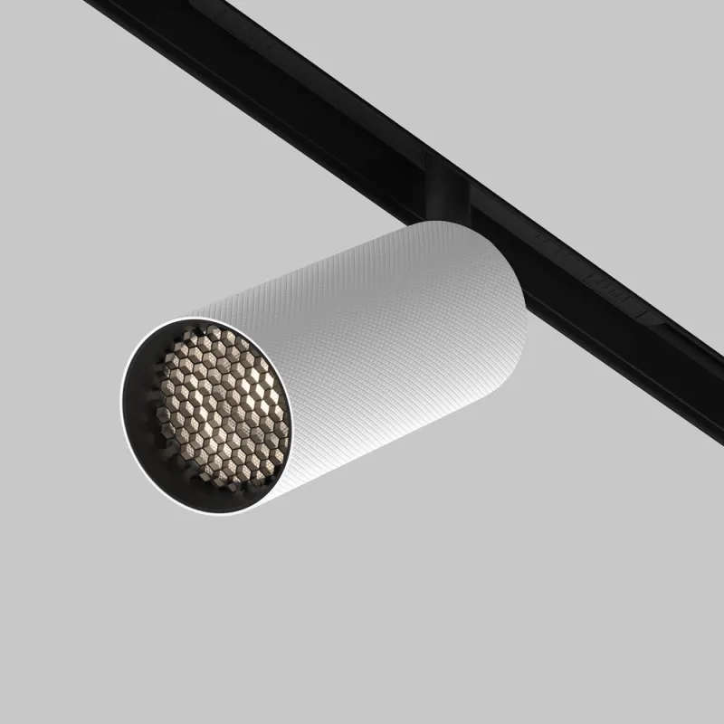 Downlight Sina Magnetica Artisan TR097-2-12W4K-M-BW Maytoni LED, Alb, Germania