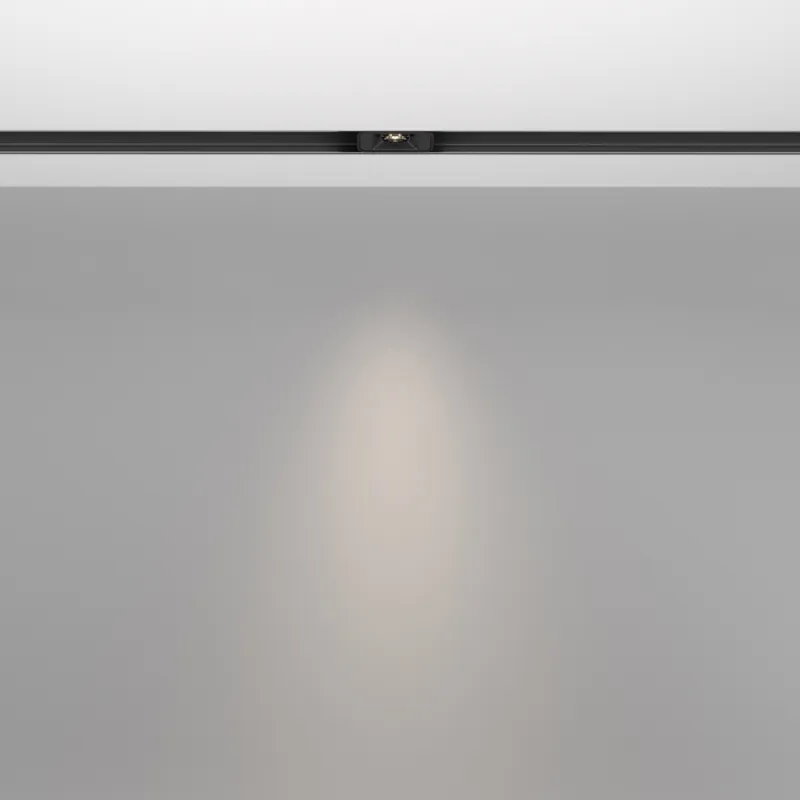 Downlight Sina Magnetica Points S TR100-2-2W4K-S-B Maytoni LED, Negru, Germania