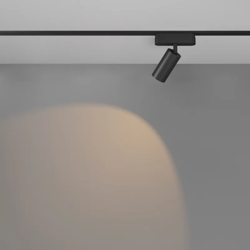 Downlight Sina Magnetica Slim Focus LED TR103-1-12W3K-M-B Maytoni LED, Negru, Germania