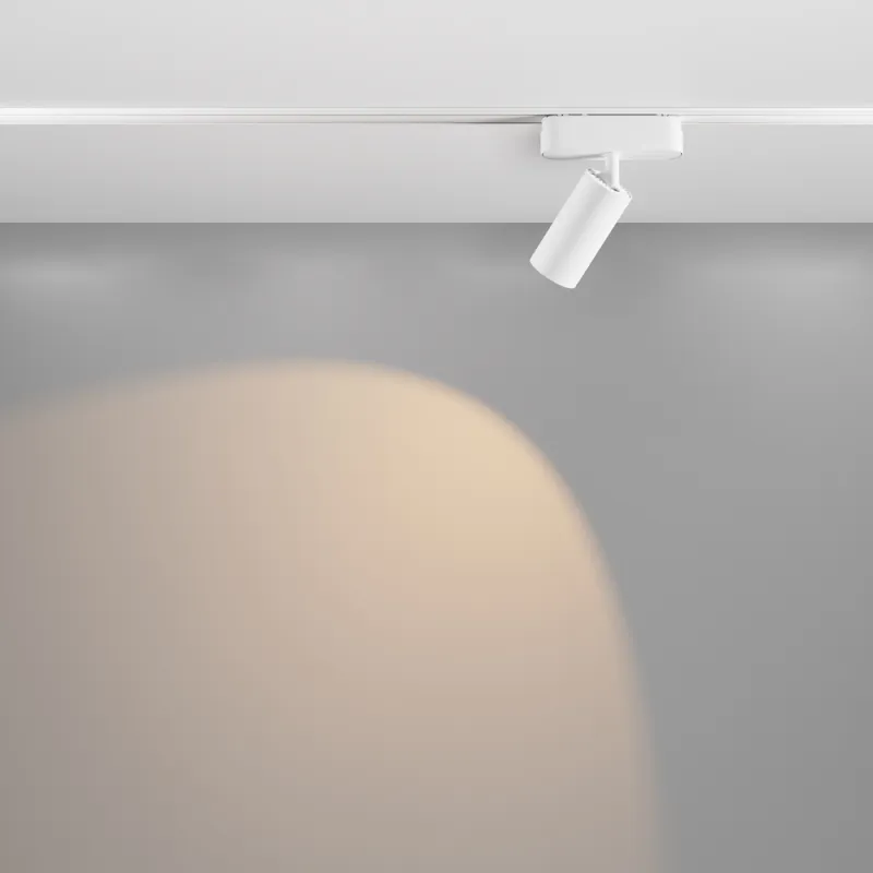 Downlight Sina Magnetica Slim Focus LED TR103-1-12W3K-M-W Maytoni LED, Alb, Germania