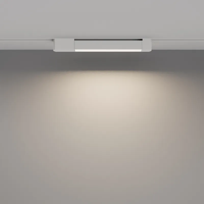 Downlight Sina 1 Faza Basis Rot TR104-1-12W4K-W-DE Maytoni LED, Alb, Germania