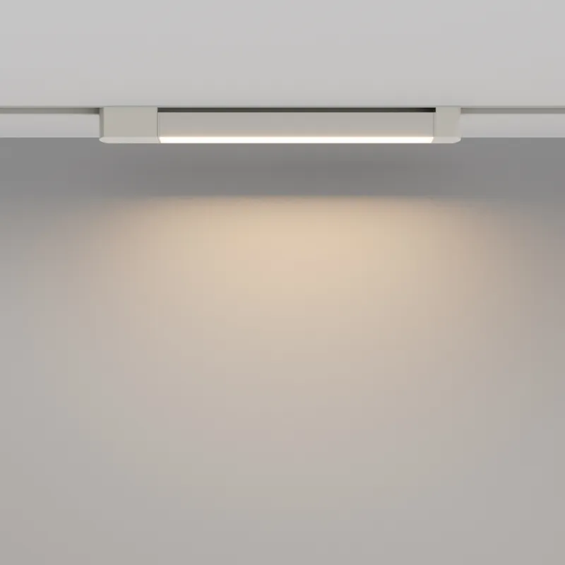 Downlight Sina 1 Faza Basis Rot TR104-1-24W3K-W-DE Maytoni LED, Alb, Germania