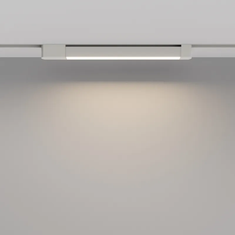 Downlight Sina 1 Faza Basis Rot TR104-1-24W4K-W-DE Maytoni LED, Alb, Germania