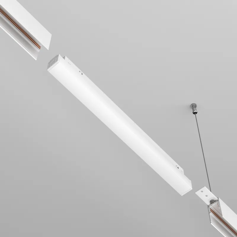 Sursa Alimentare pe Sina Magnetica Power Supply Exility TRX034DR4-200W-1 Maytoni Alb, Germania