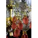 Candelabru Cristale, Bohemia, E14, L101064V, Crystal