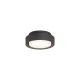 Plafoniera Exterior Kuma P2082000GR ACB LED, Antracit, Spania