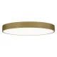 Plafoniera Isia P3453370OTDT ACB LED, Auriu, Spania
