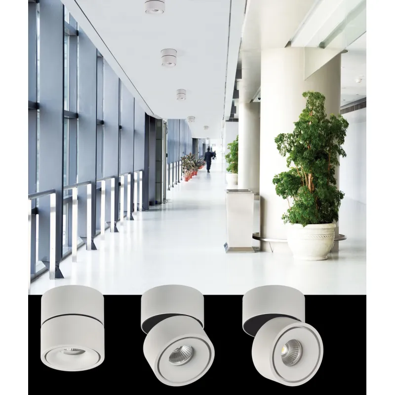 Spot Incastrat Apex P353810BDT ACB LED, Alb, Spania